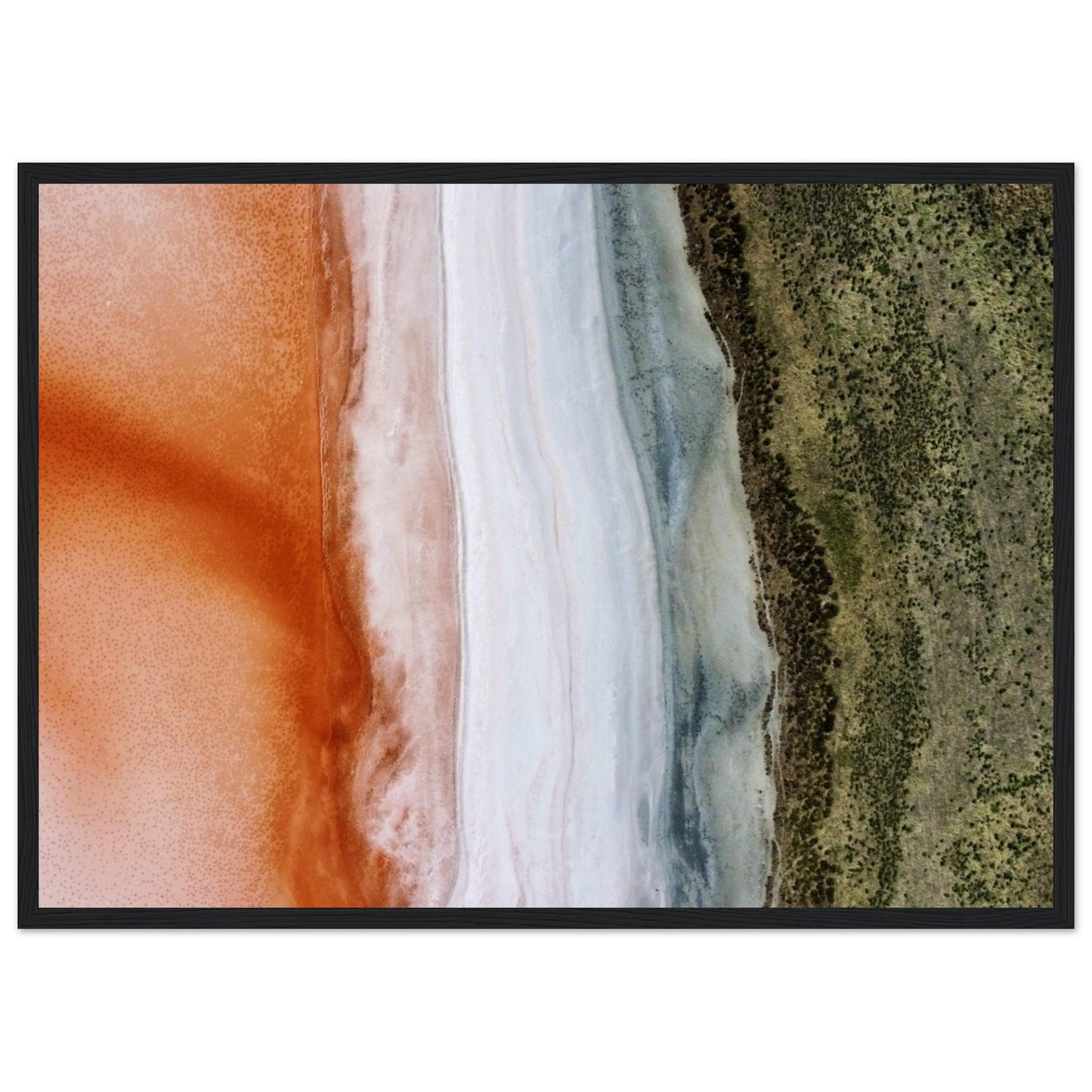 d1e7c424-f5f6-4499-b0be-8aa8fae440b8
