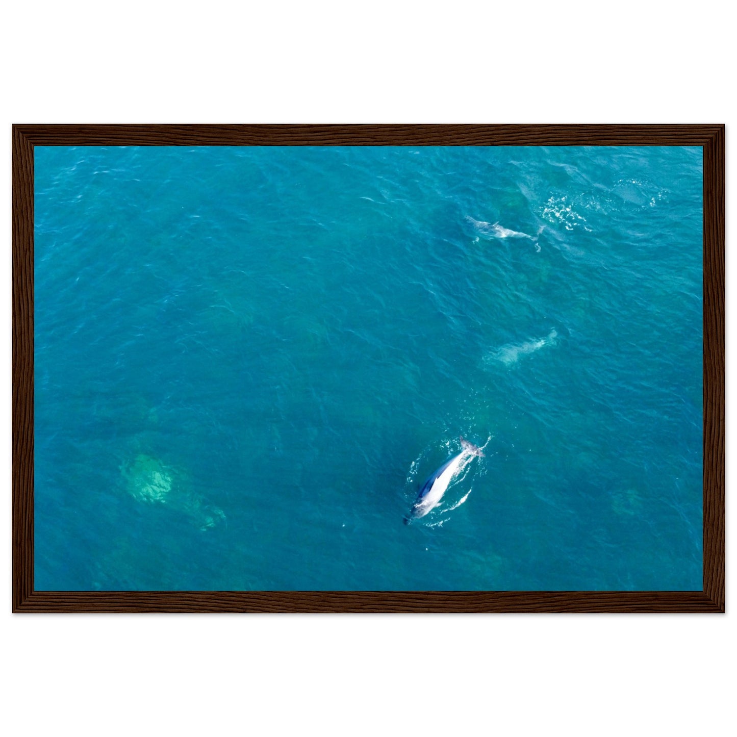 d84a71d4-2098-4086-bfcf-8992f684595a