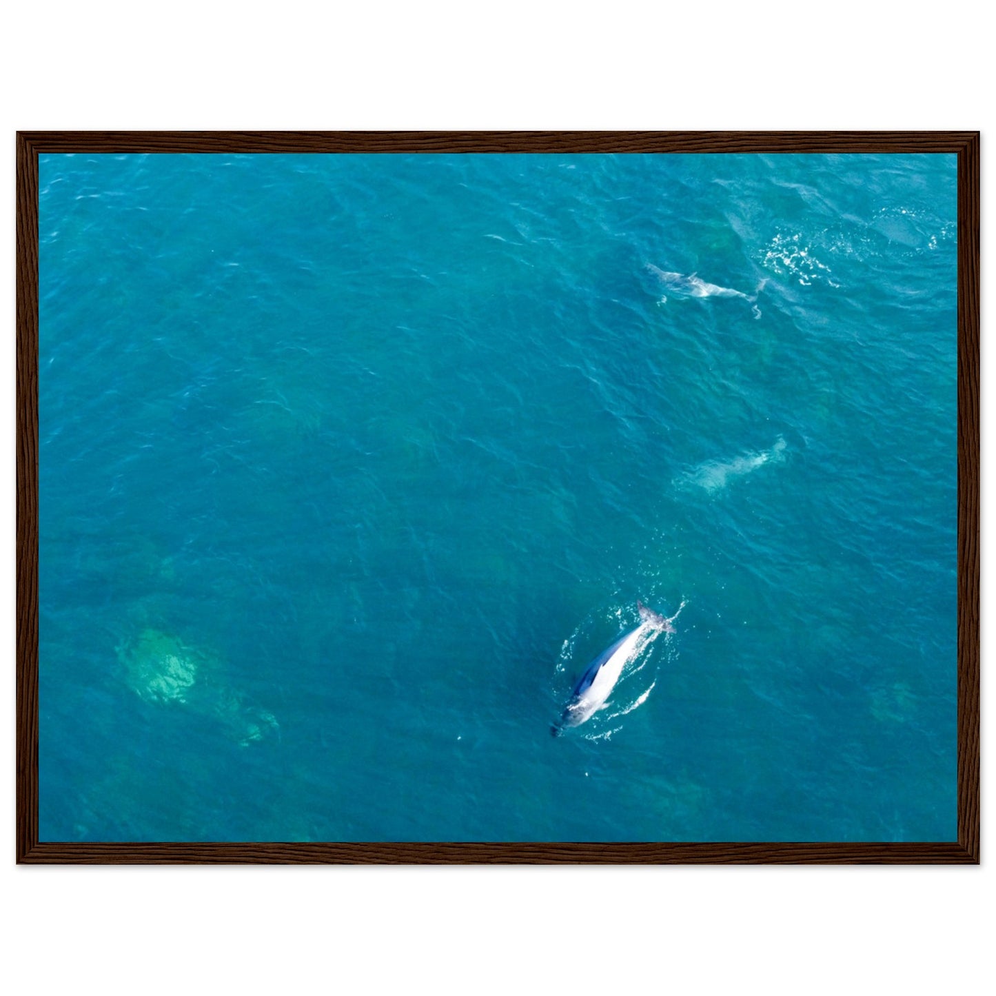 0b279f20-3b8d-4525-b5f4-72b36865a131