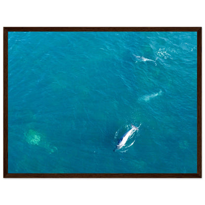 0b279f20-3b8d-4525-b5f4-72b36865a131