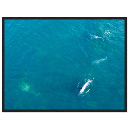 10d96a8d-bc30-4e23-9123-7be58c31c2da