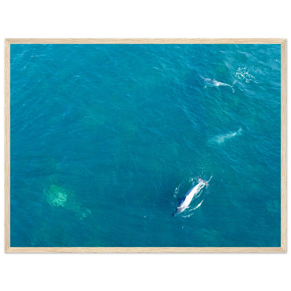 159d3b9b-940e-4d0b-97c8-656300fe955b