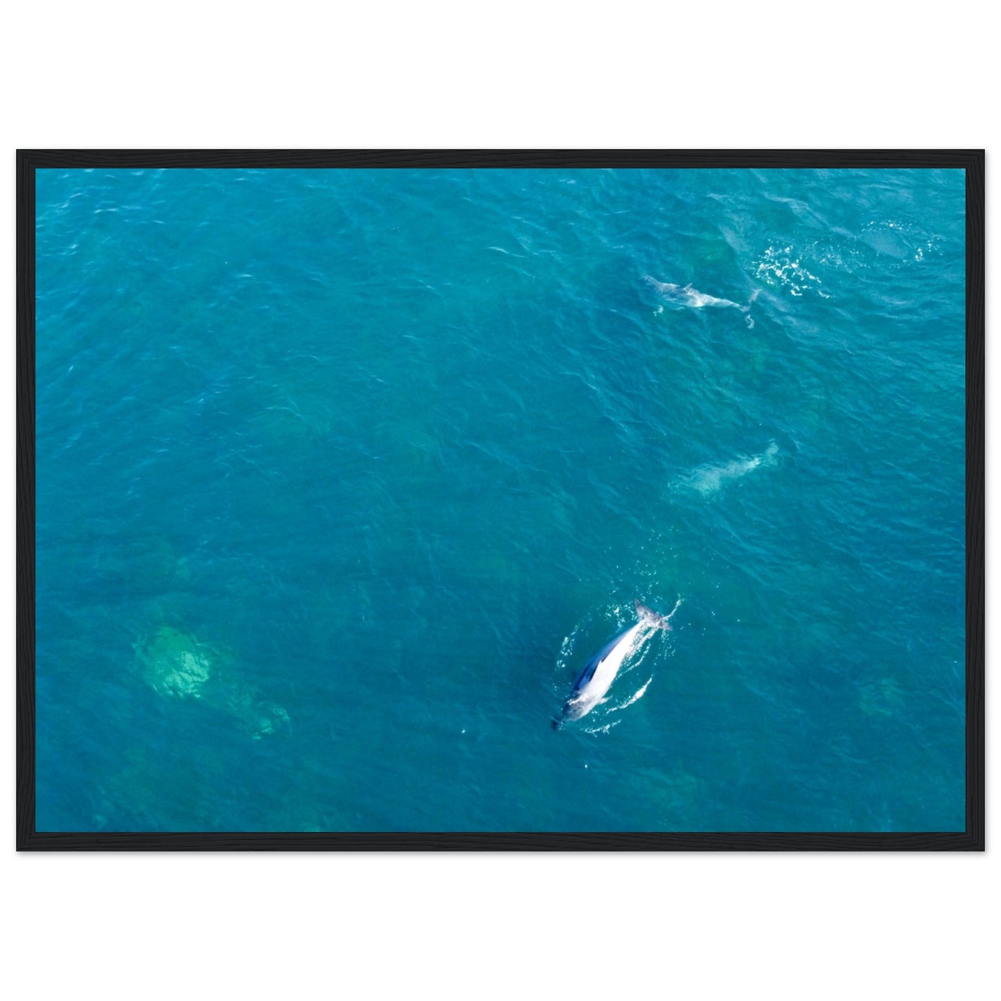 1d3ff9b2-63ca-4a51-b708-b5ba4b2872c9