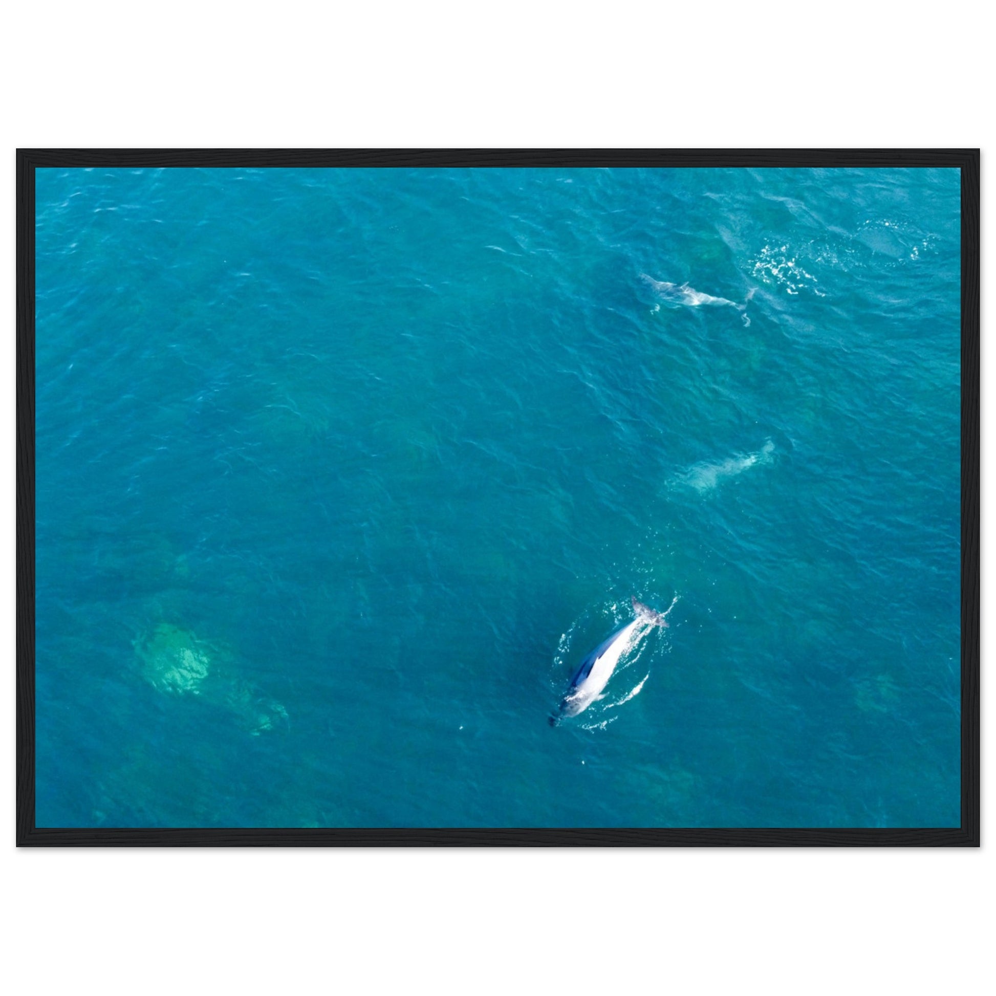 1d3ff9b2-63ca-4a51-b708-b5ba4b2872c9