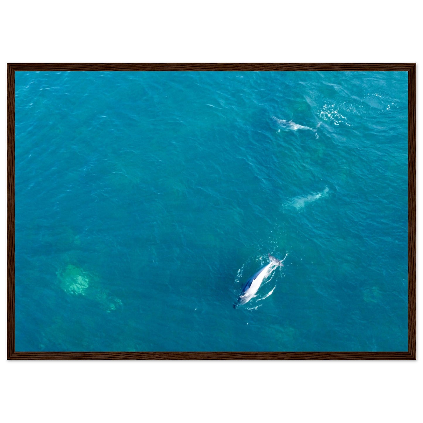 202f53ce-c10b-46d4-97d0-2f111e098972