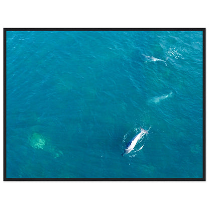 2032b6fa-7a01-49ac-a3f9-fe2a5e1ecaf4