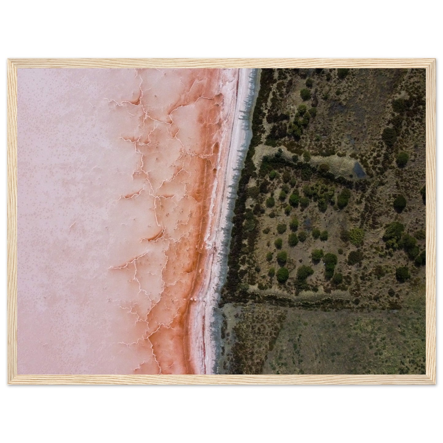 2bcc0766-8714-41a6-8431-627a89487f44