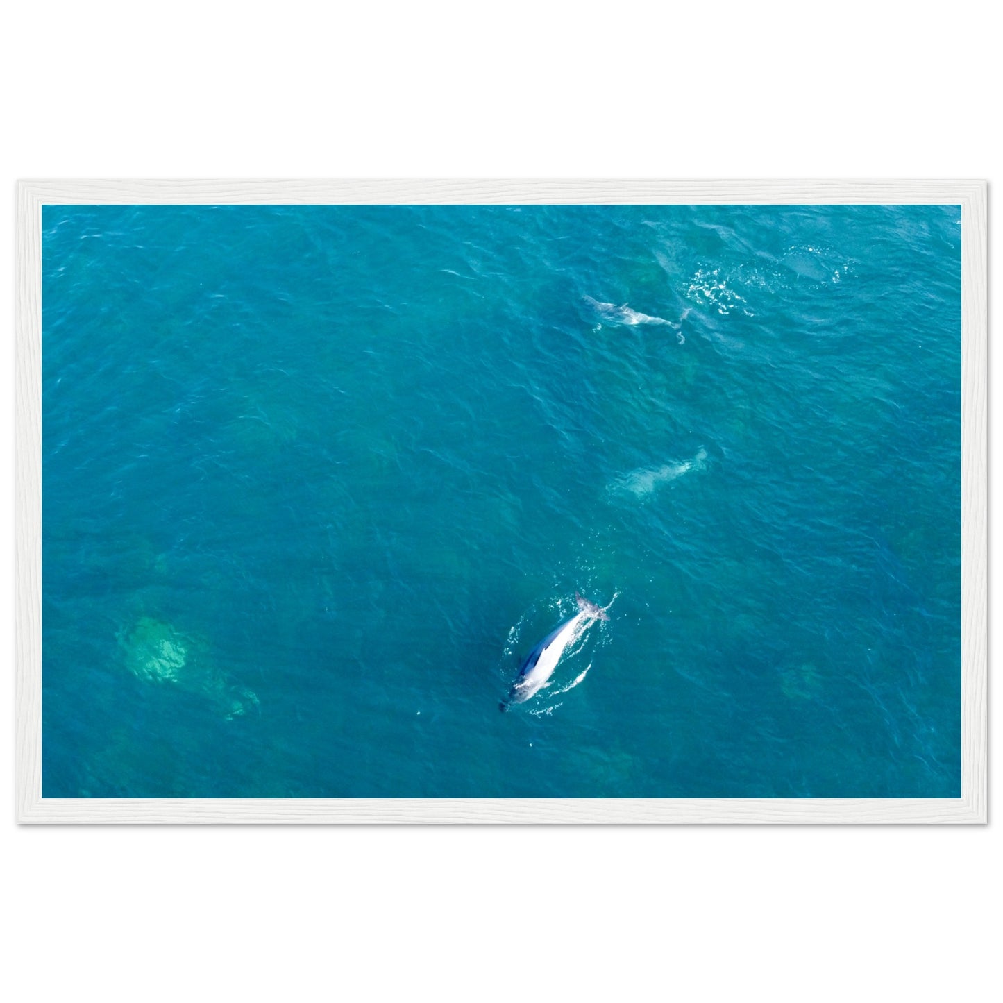 2e7b39e8-7459-47bd-9c97-d1db825bd19a