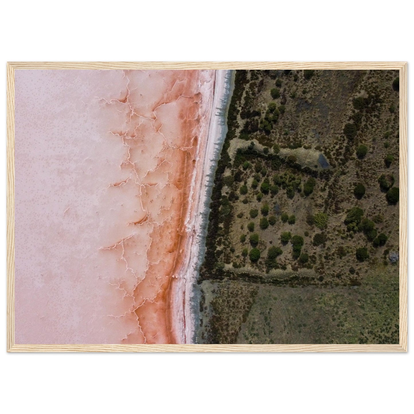 2e9a651f-783f-415b-ad96-d663ad9ee069