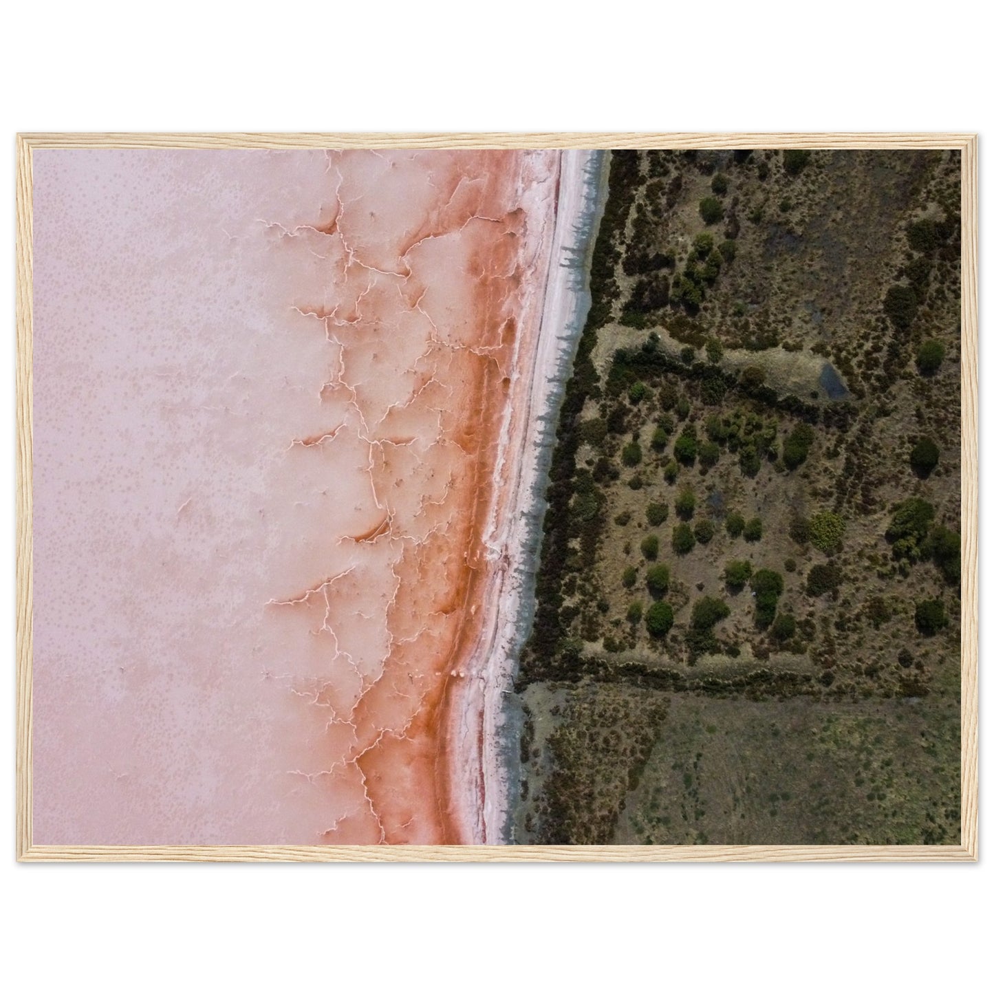 2ff96526-d364-4ca6-ba47-9b96f01a58c9