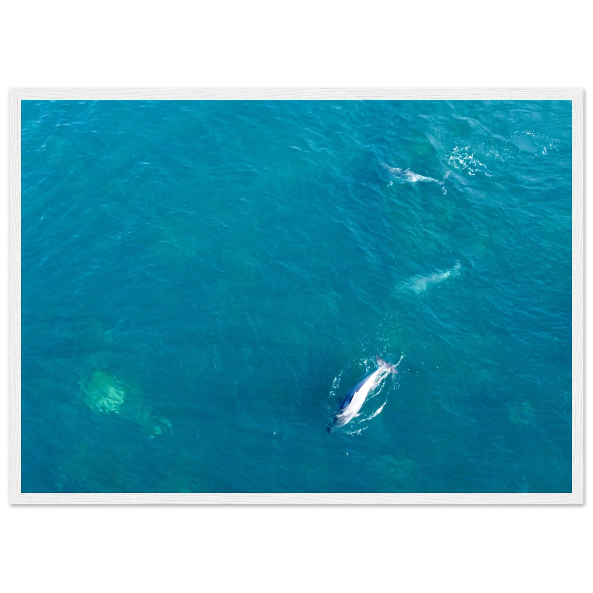 3409fbaf-bdf2-4a01-b27e-7e57699ae91a