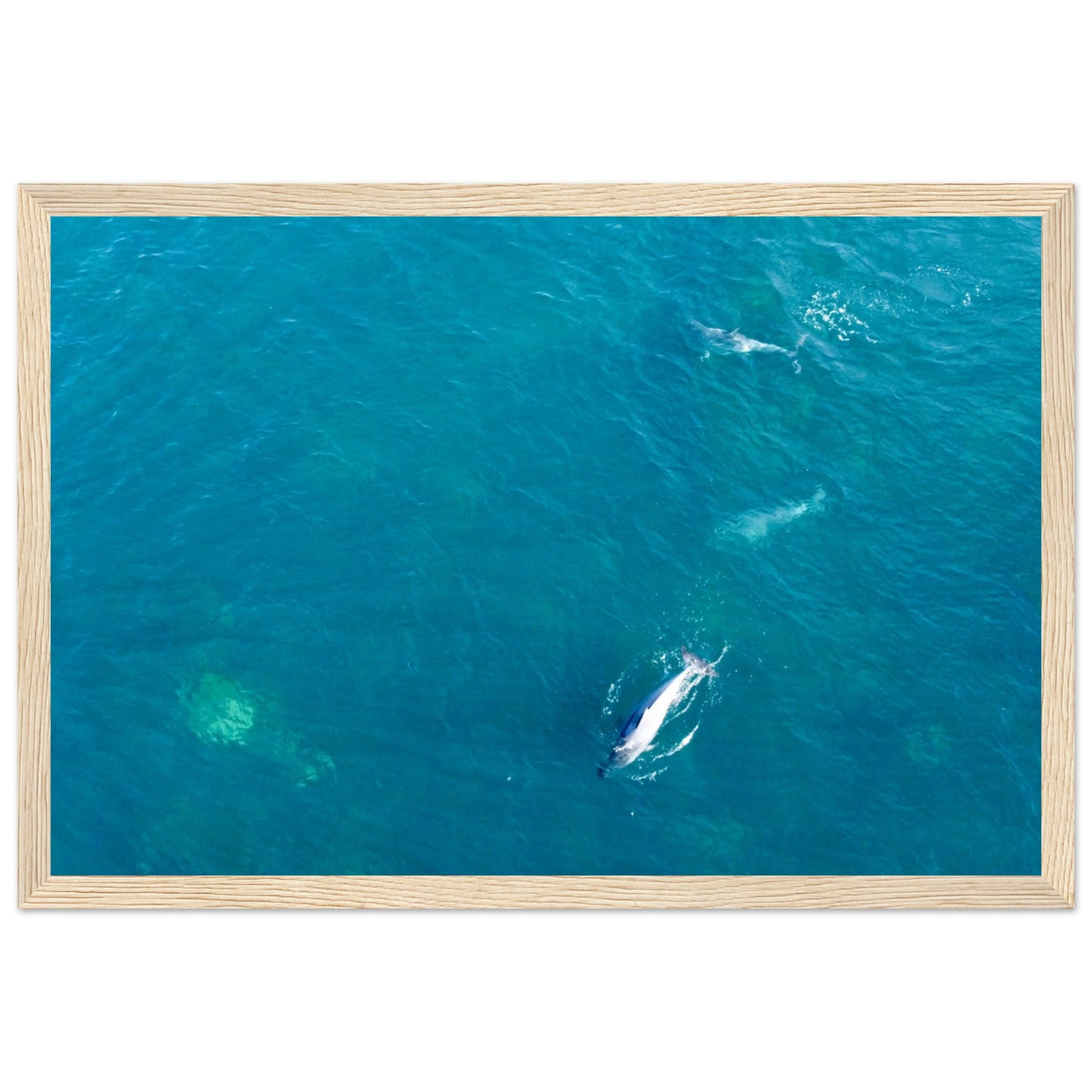 4da0ff59-18c7-4c17-8b05-131c22ac9591