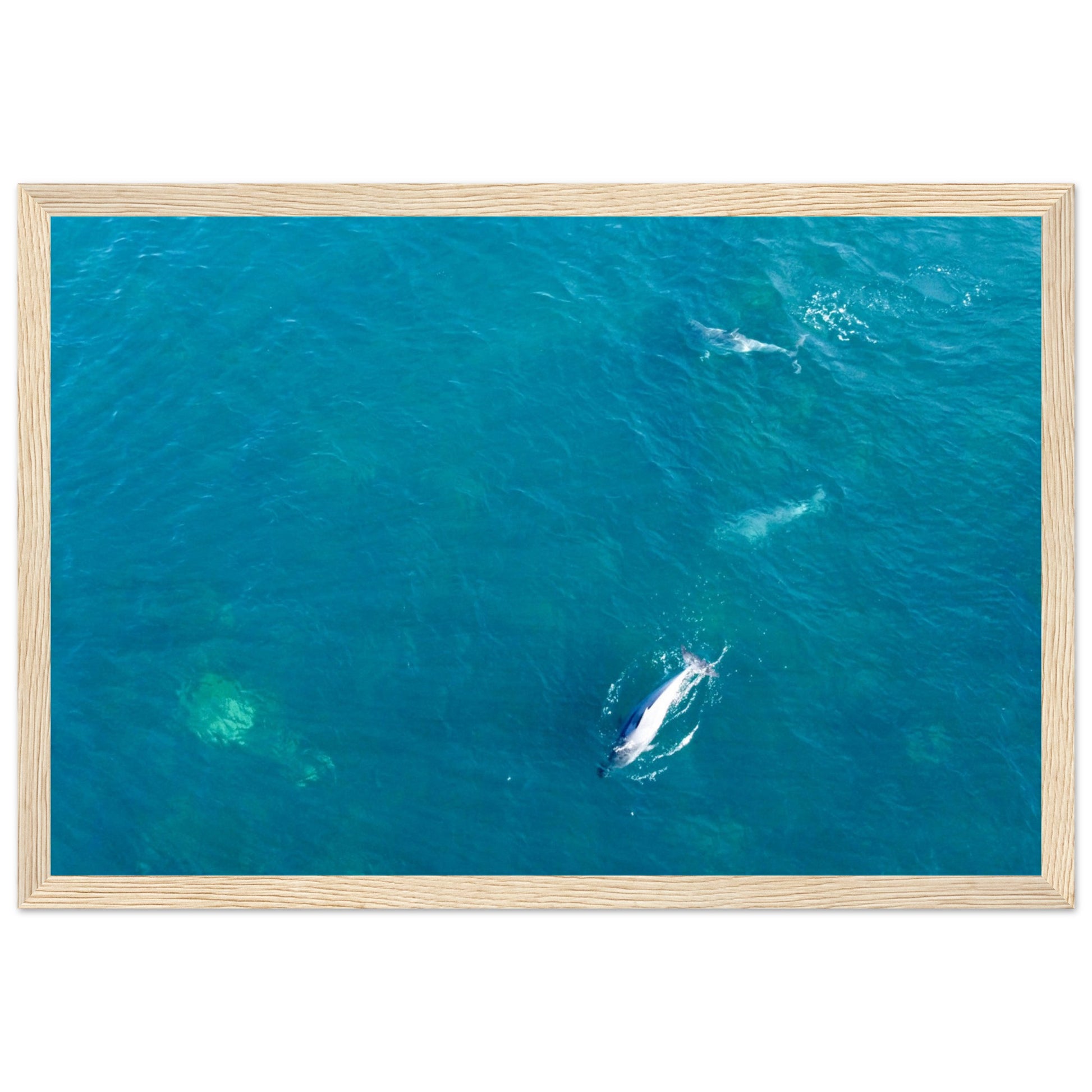 4da0ff59-18c7-4c17-8b05-131c22ac9591