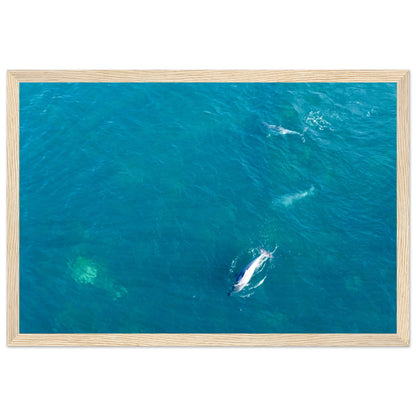 4da0ff59-18c7-4c17-8b05-131c22ac9591