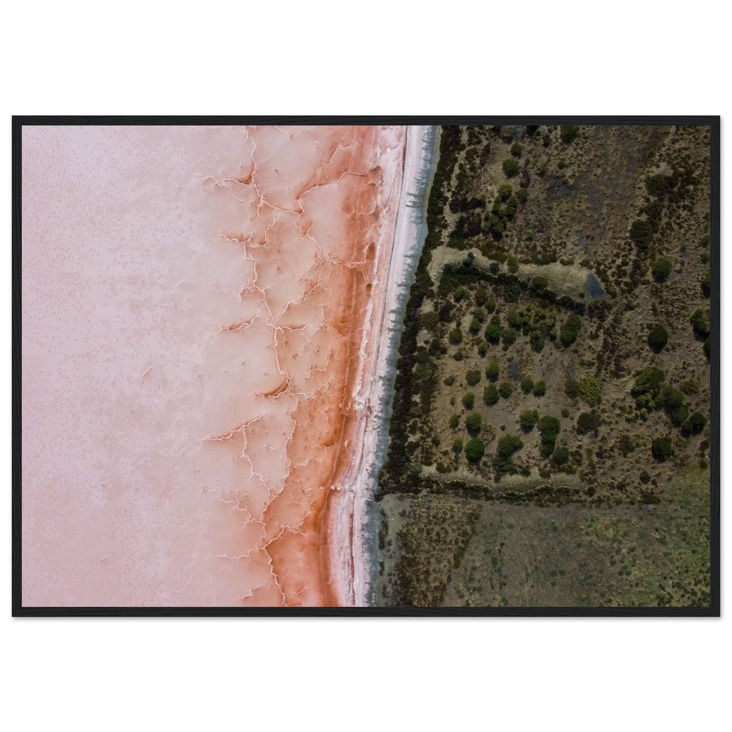 51de4ca2-93ad-42b8-b2b0-b031d60520c9