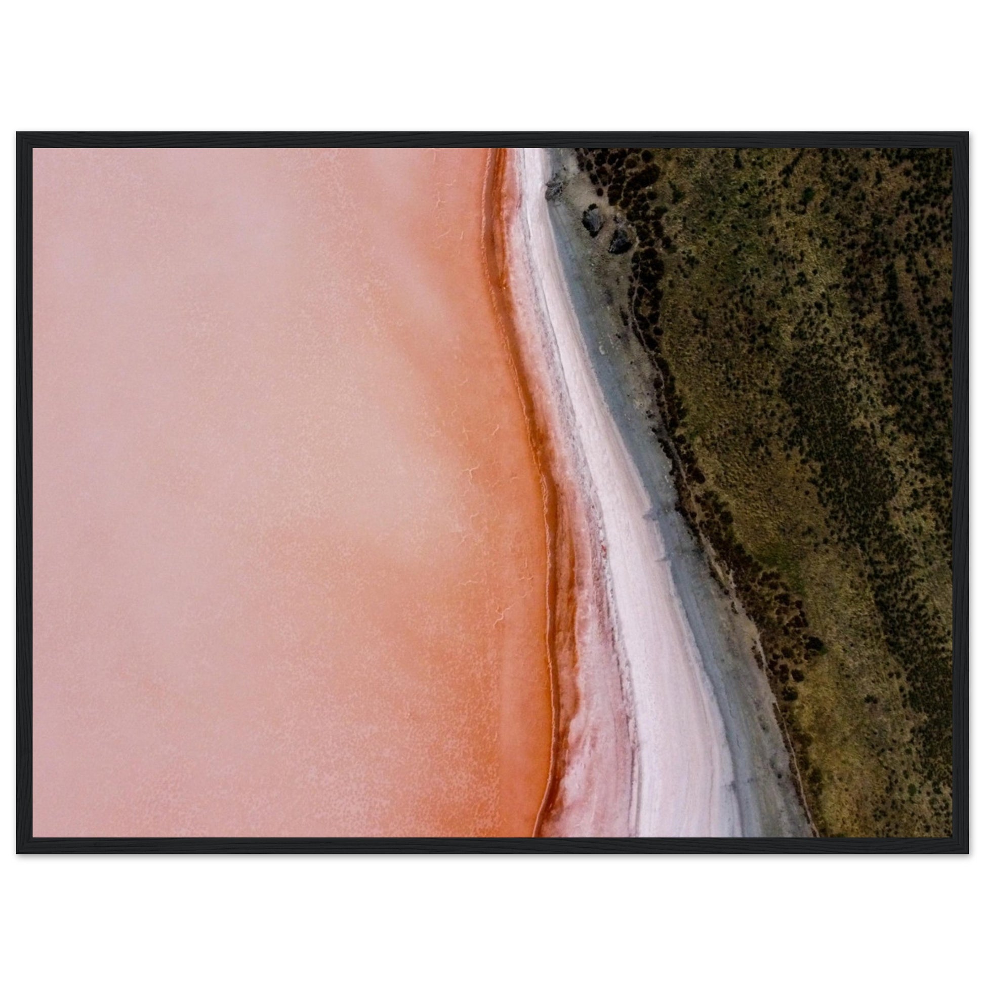 529e557c-bc06-46b0-bd15-3b2d83cc4b56