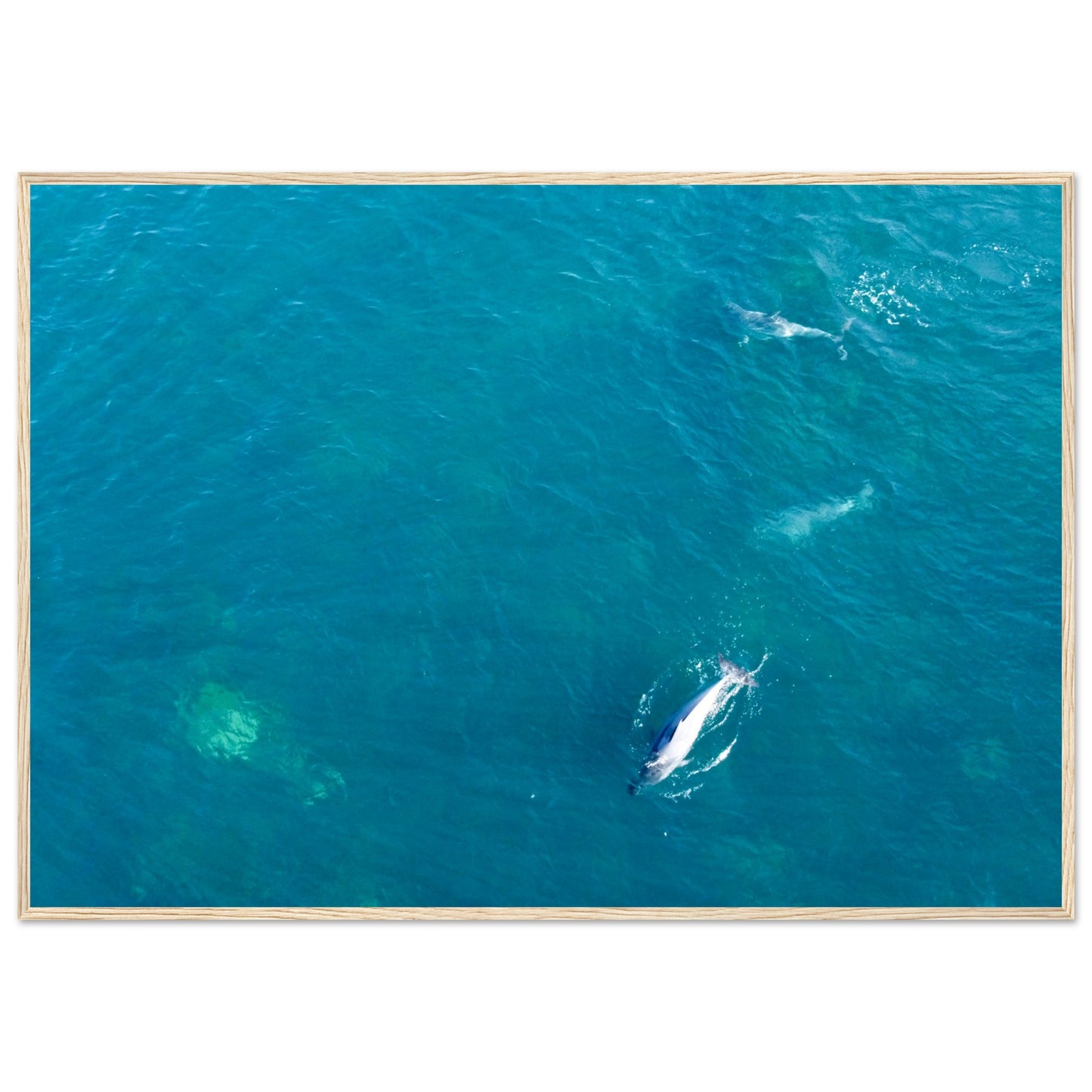 626e034d-6634-4afa-8bf2-c3c2af3710c1