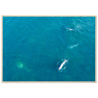 626e034d-6634-4afa-8bf2-c3c2af3710c1