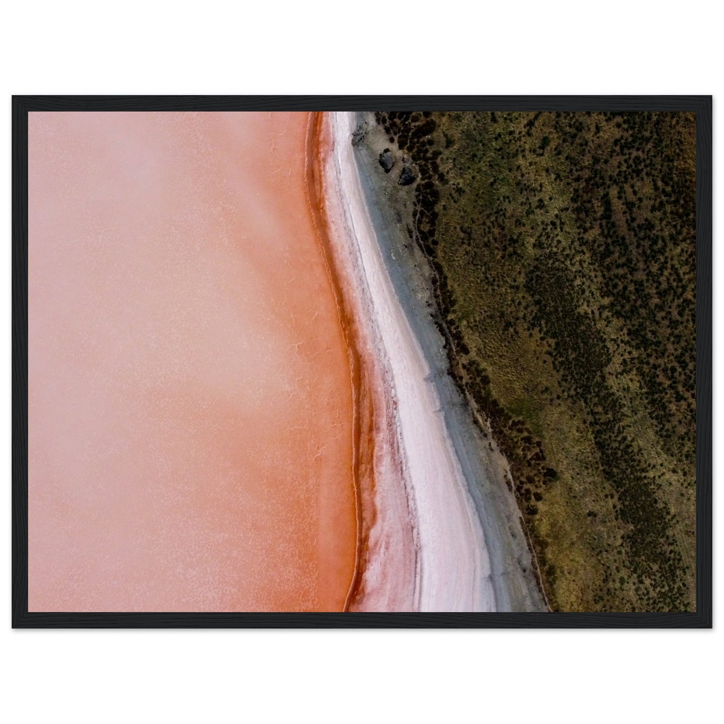 66ed16eb-1ffc-4930-bc31-d7bbb88f67c5