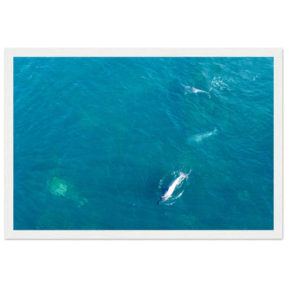 73b6d8ab-b1d8-47af-b558-8c1b39ba1c00