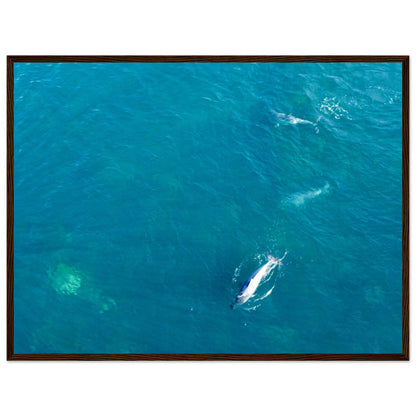 822463aa-ae3d-485a-8c7f-6952008f4650