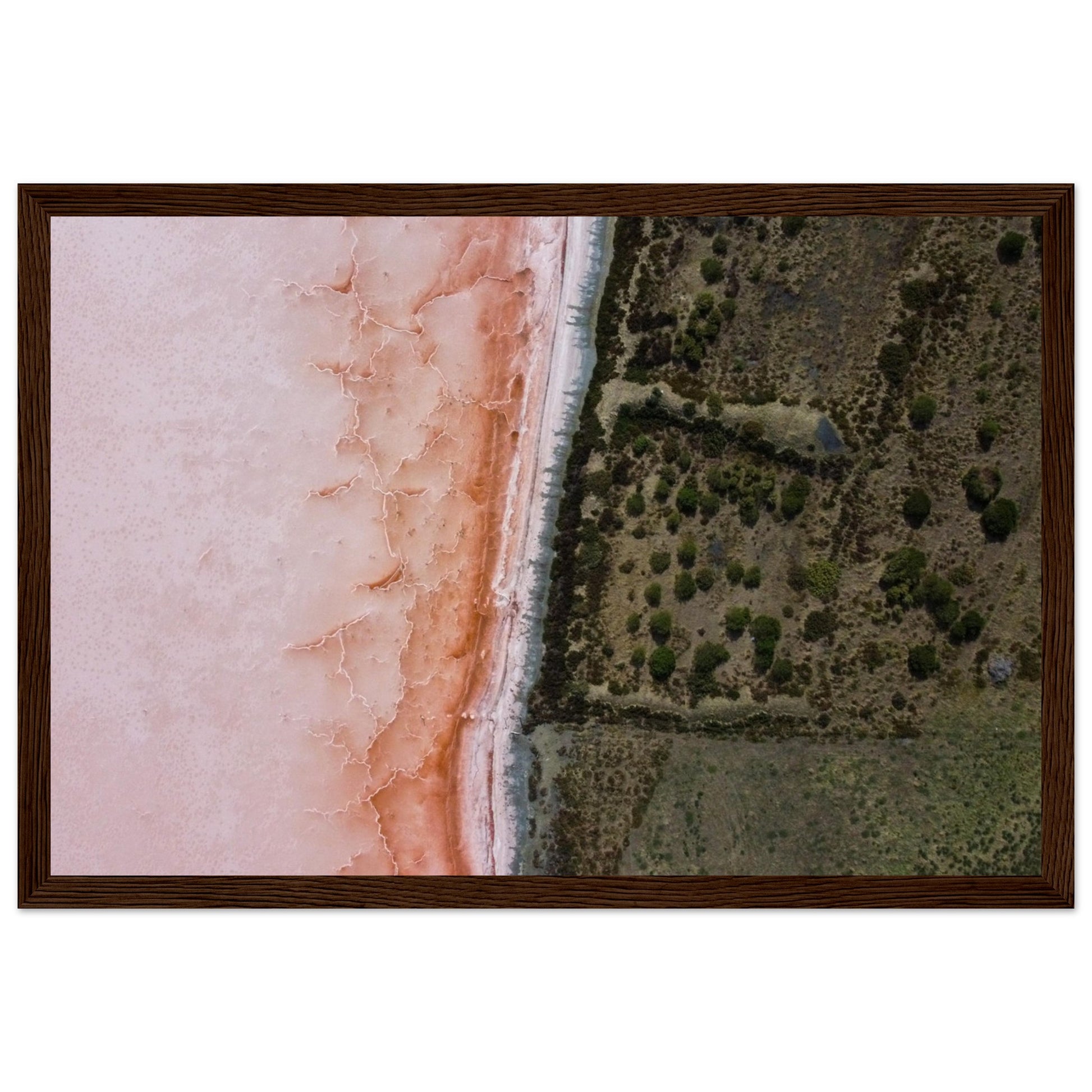 8688c210-62f2-4652-948b-c6bf87d2afee