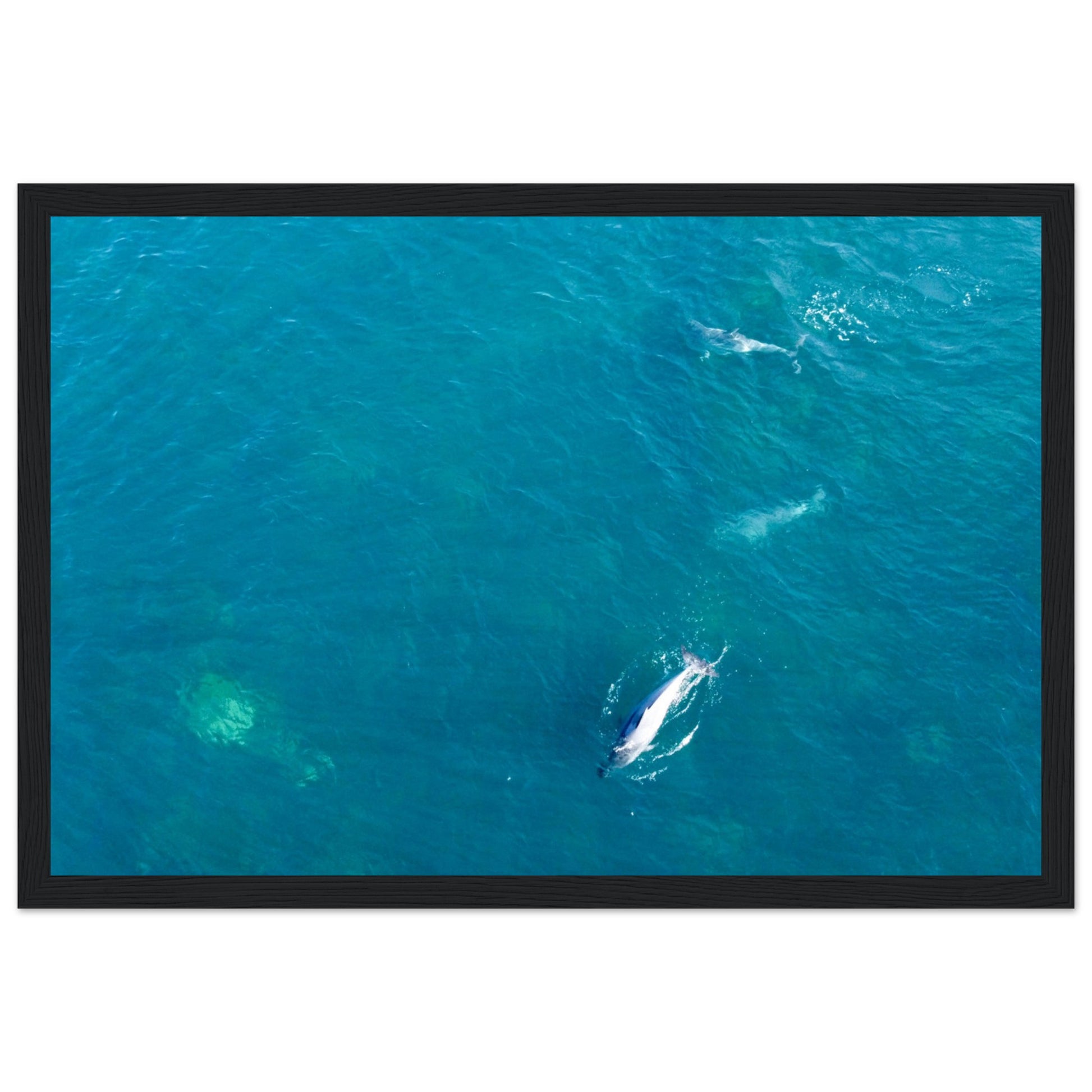 8dc8d14f-f1a0-4adc-842a-83bd720a4051