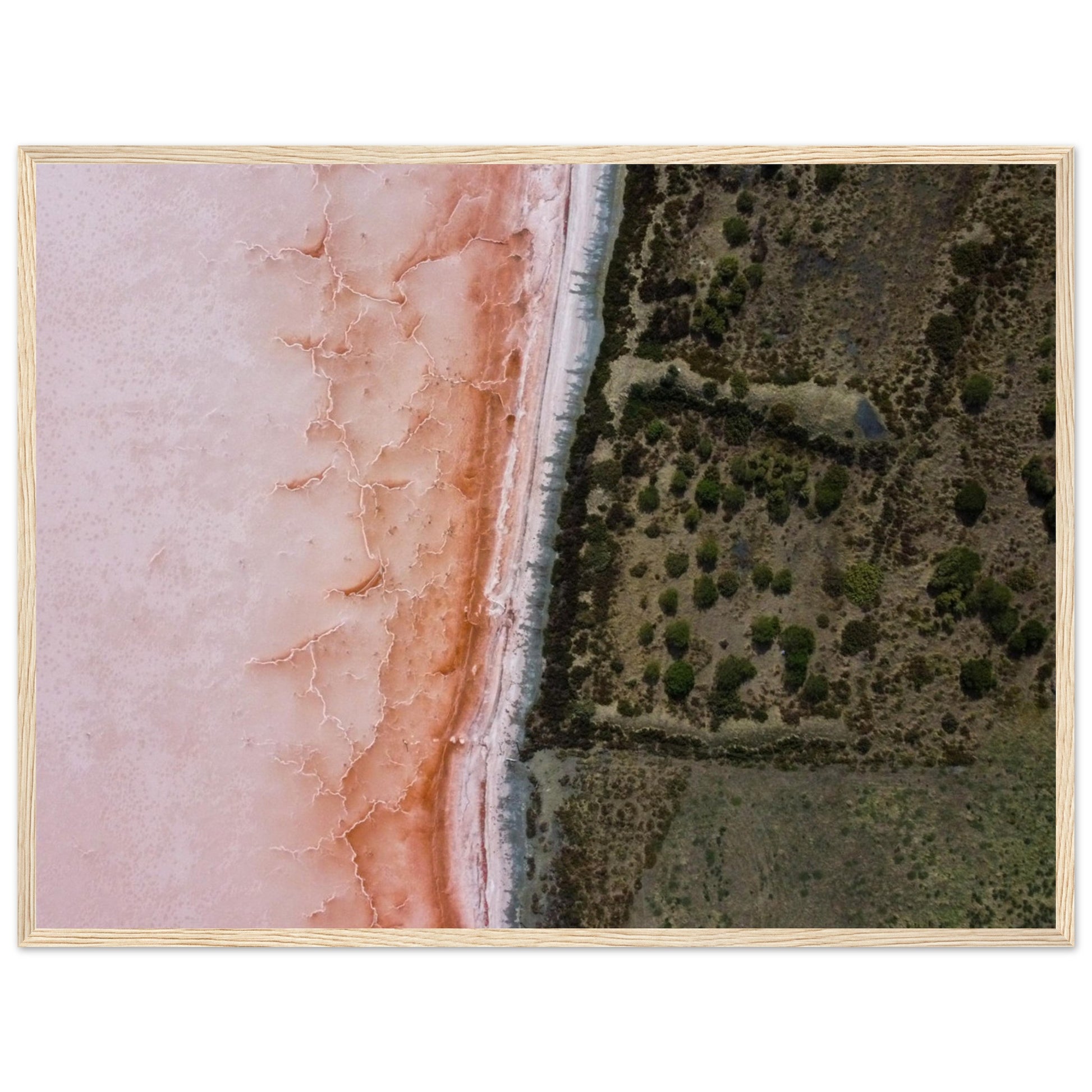 8e389e61-7a53-4604-98c6-d5bcc3c1748a