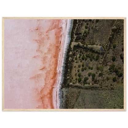 8e389e61-7a53-4604-98c6-d5bcc3c1748a