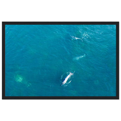 9f617f3b-617f-4f56-ade2-217efe4a699d