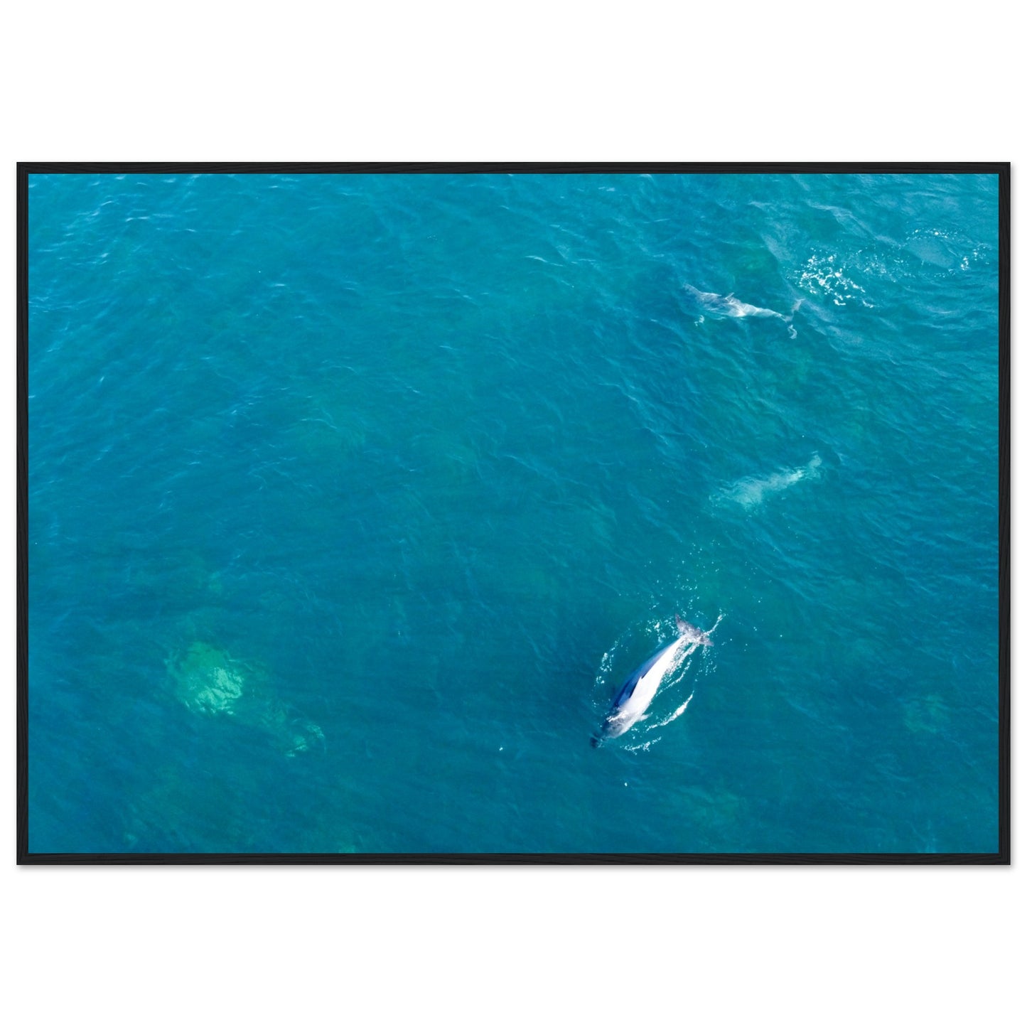 a1296aa3-1241-4d76-acaa-3e0456e67a51