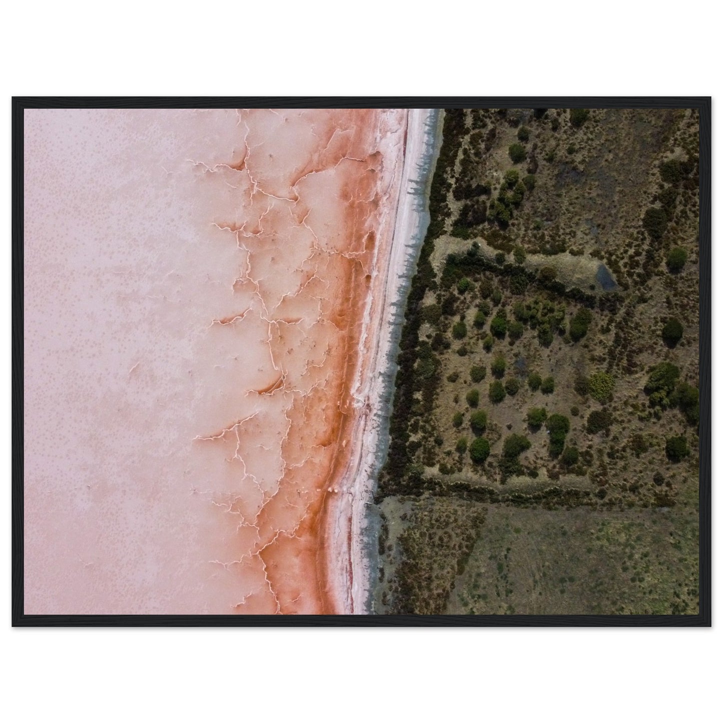 a6c7396d-692c-407b-b0a0-13b960fe3956