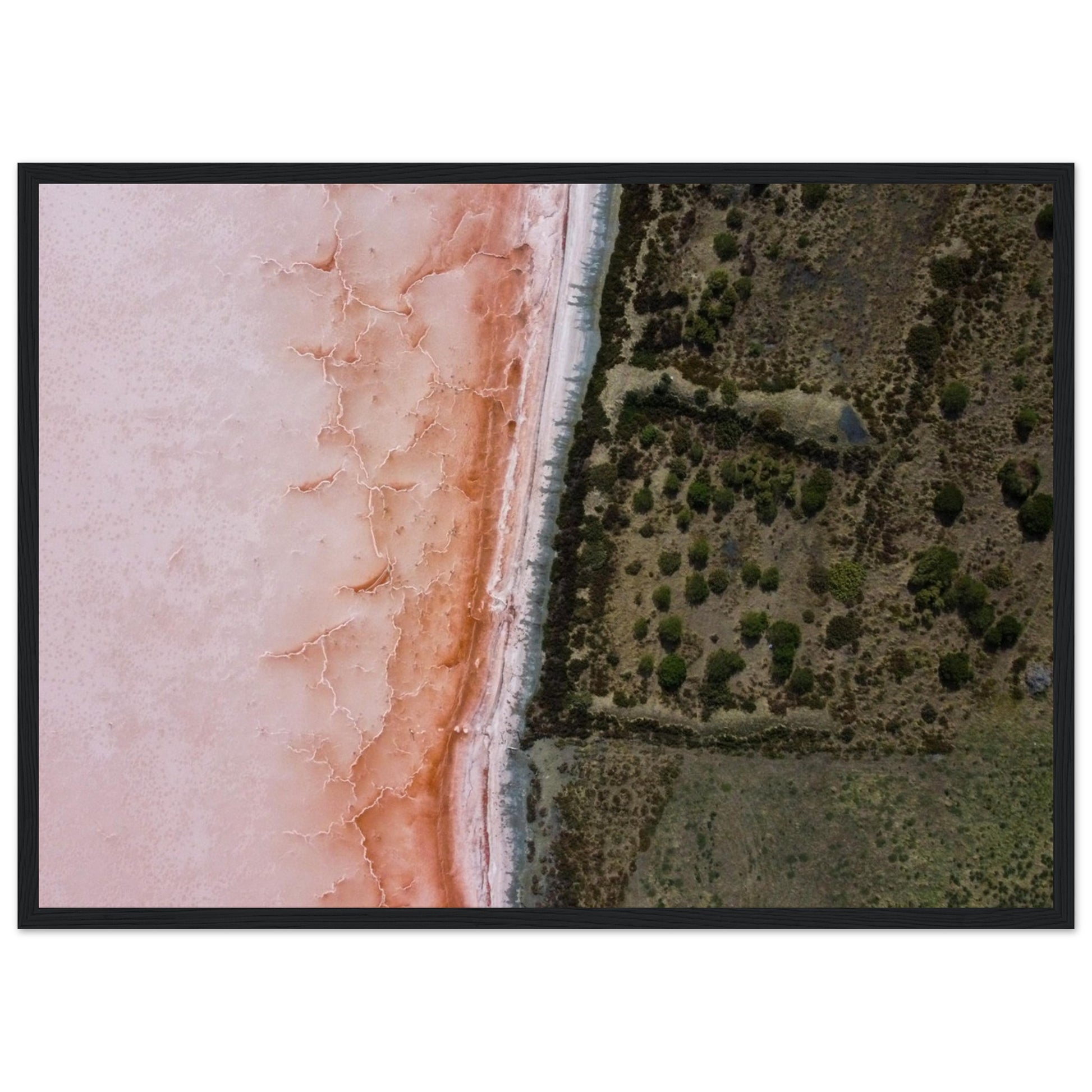 b0e1b9db-dfe0-49c6-b15a-3725ca790824