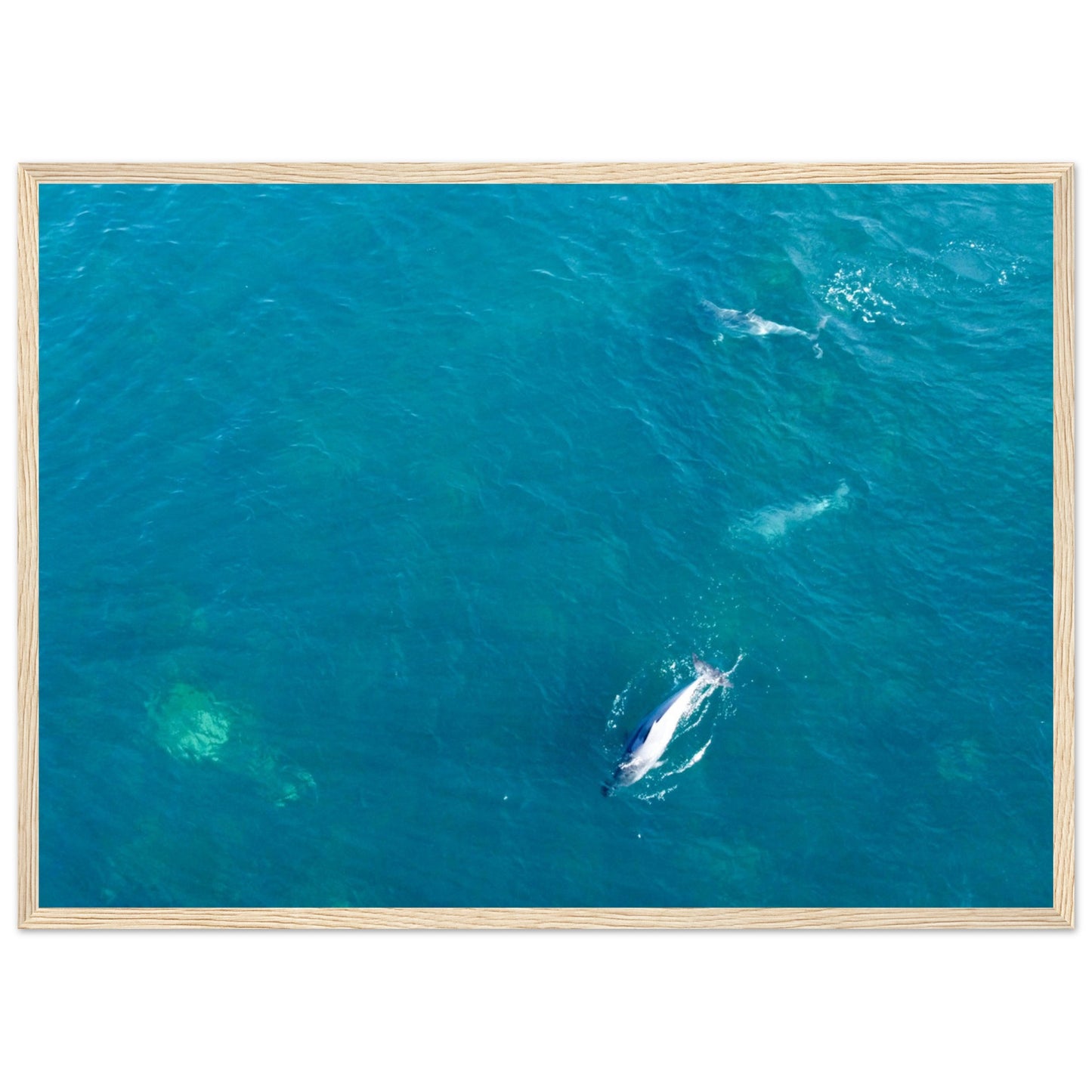 b8507ba3-12ce-4e0c-b6f7-feda2023178c