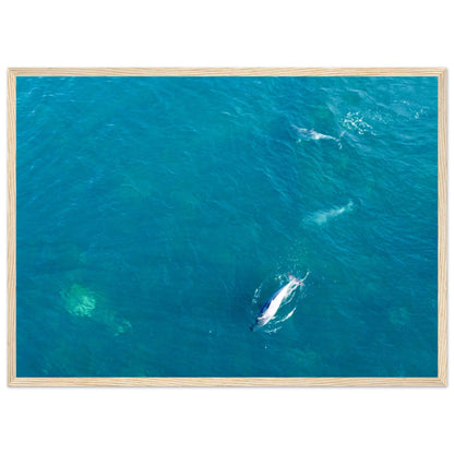 b8507ba3-12ce-4e0c-b6f7-feda2023178c