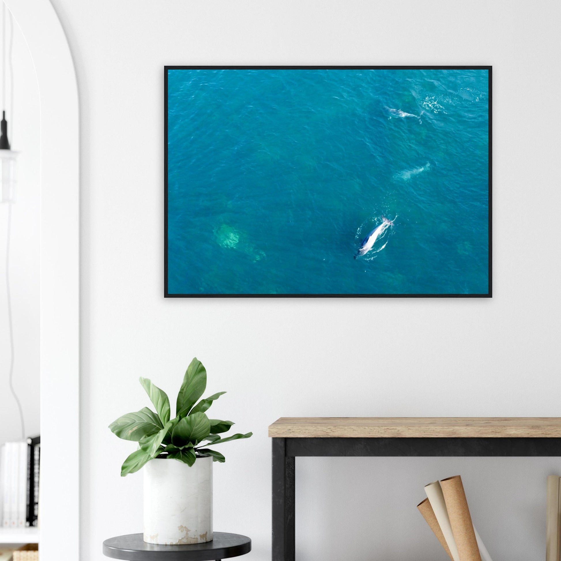 b8b92c41-b634-4066-95c6-19d5d23d9af4