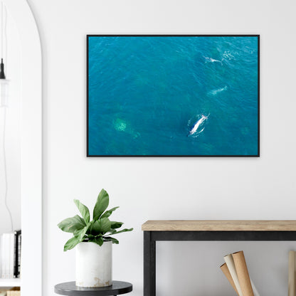 b8b92c41-b634-4066-95c6-19d5d23d9af4