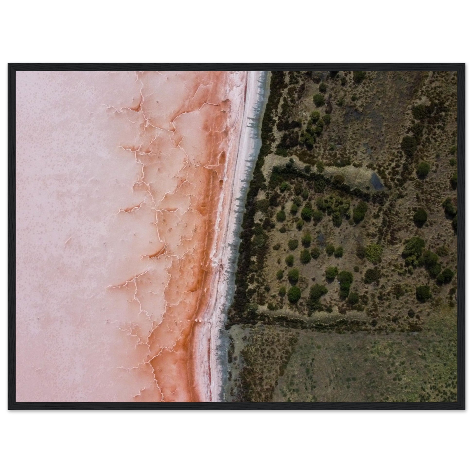 bd3a9c81-0d3b-496a-989e-0787f0a2b173