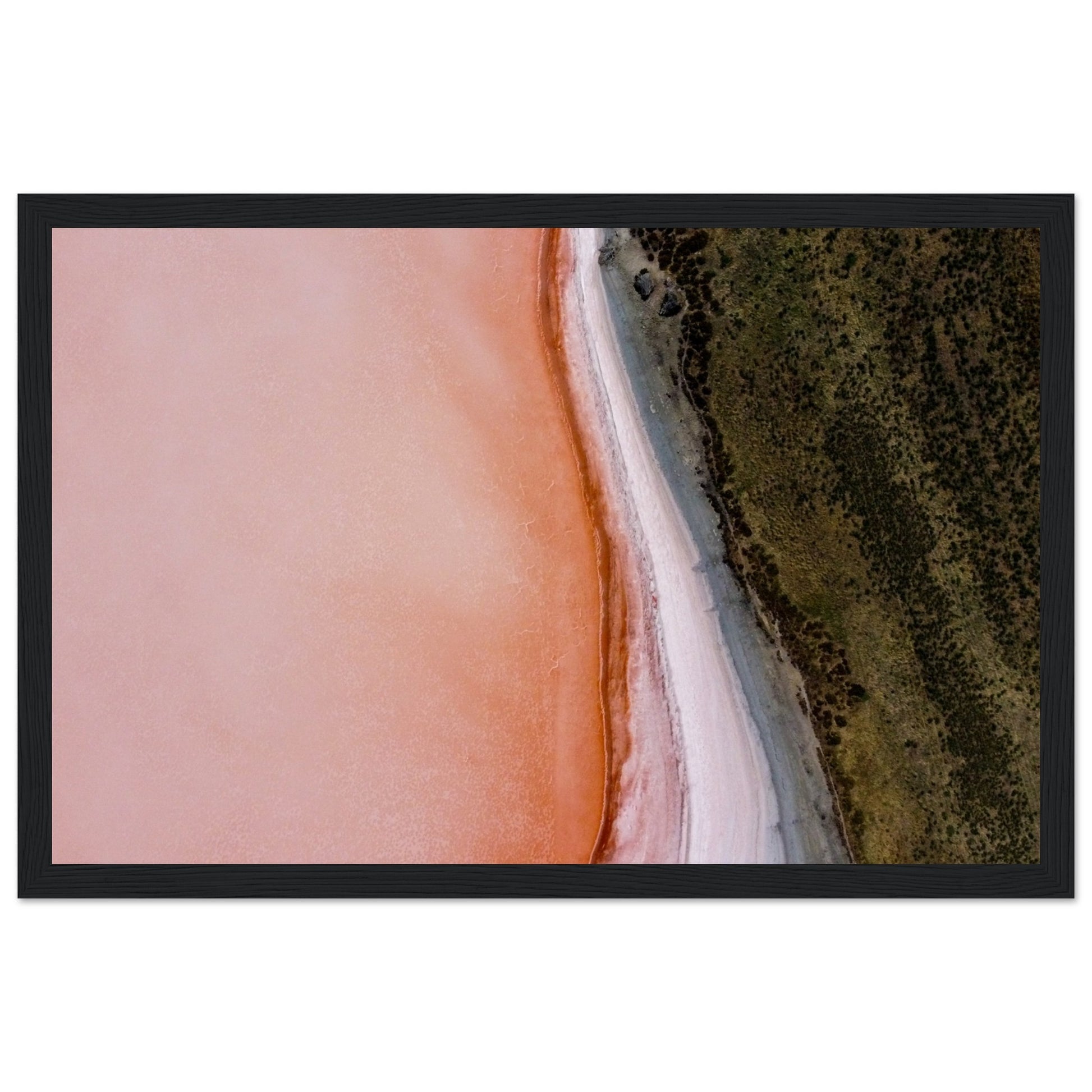 c0a5150d-5362-464c-b5f9-abadb2852ee9