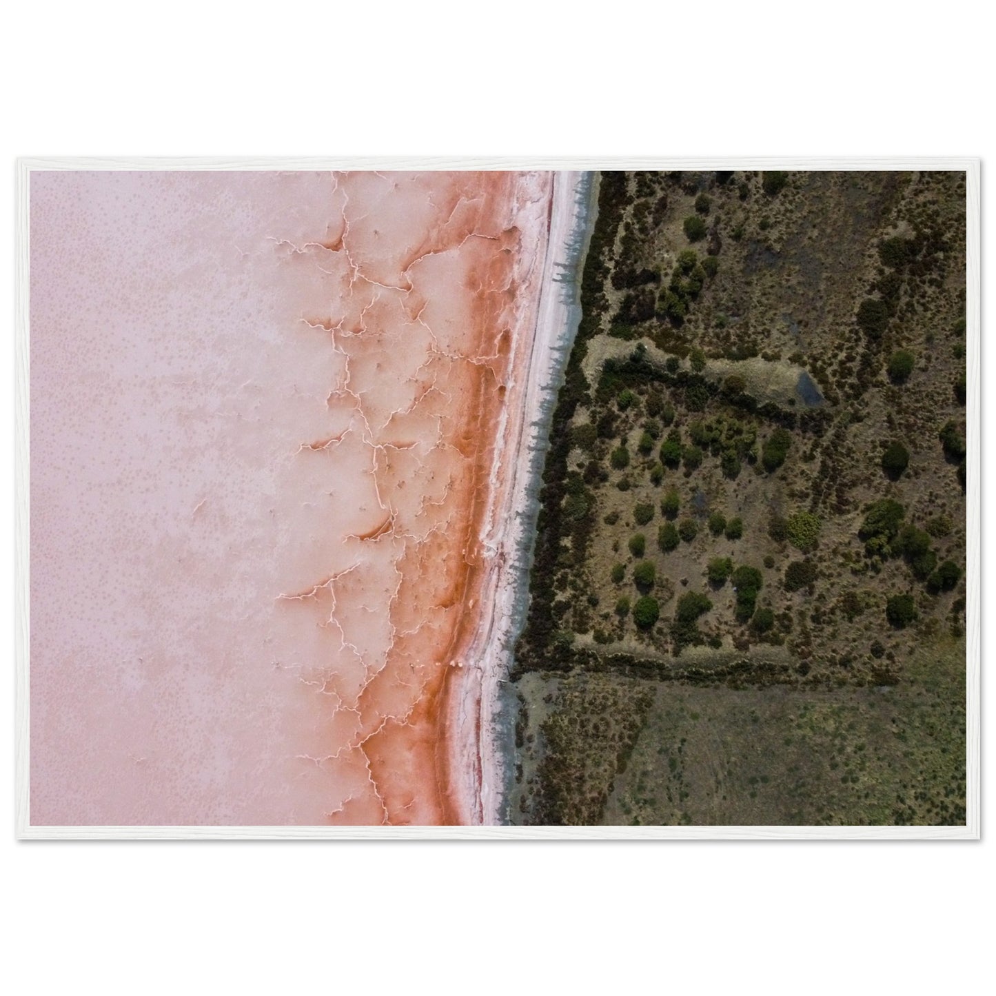 cad02d1a-4b54-4064-ad9a-bfb0f82d2076