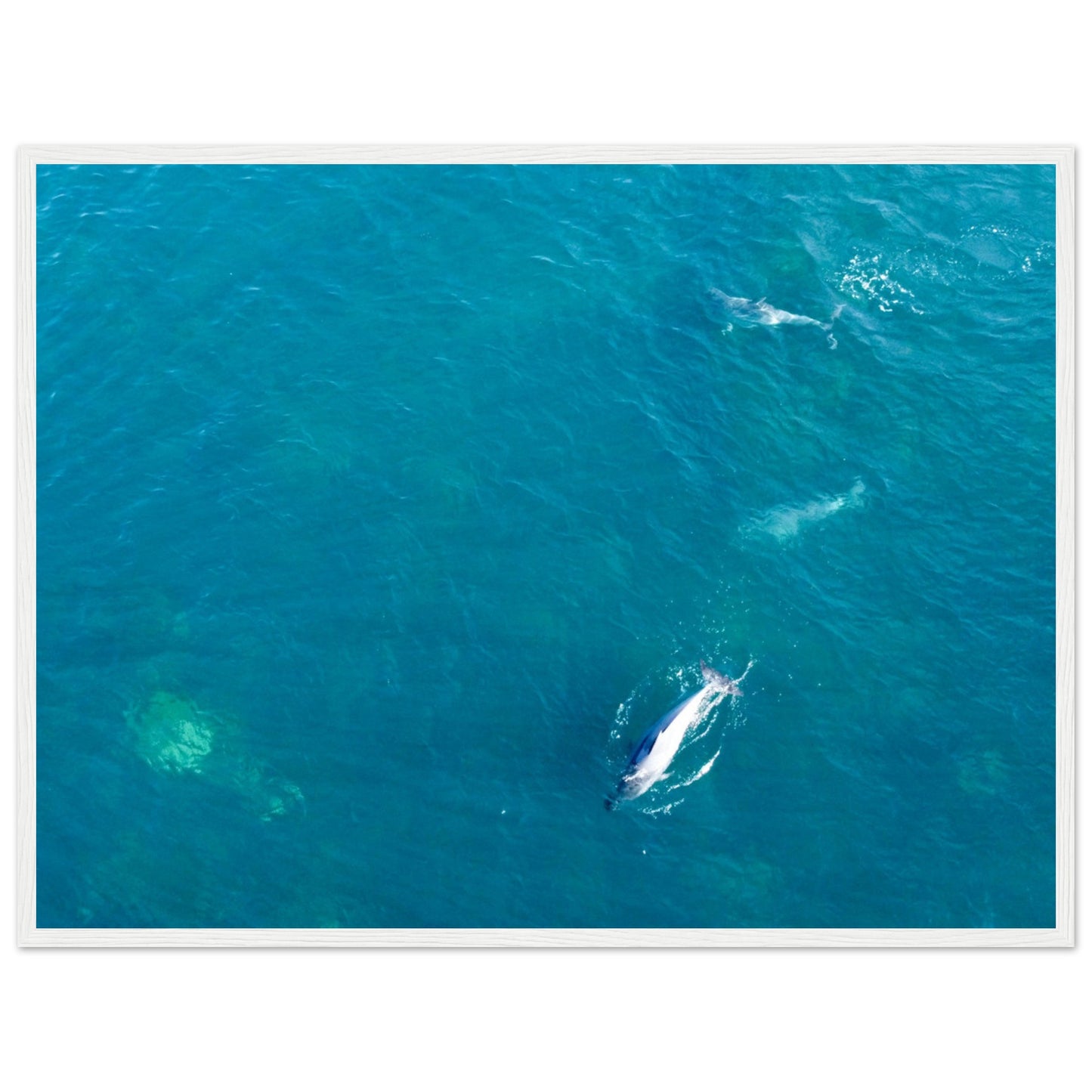 cc353cd1-53b7-4b40-b951-fabe165f9e88