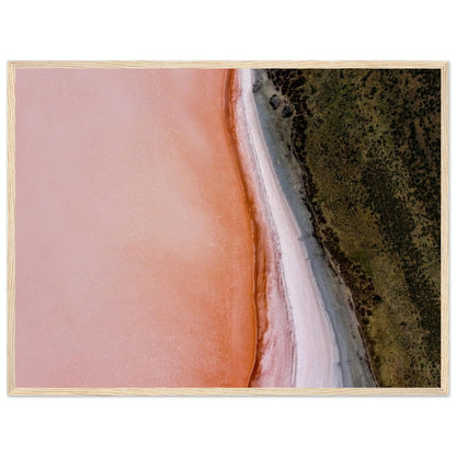 d0e6cf9d-fdc4-4274-8eda-a781c294e58c