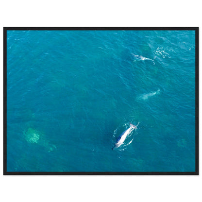 d2375516-ef8a-43b4-88d1-176d77351b1a