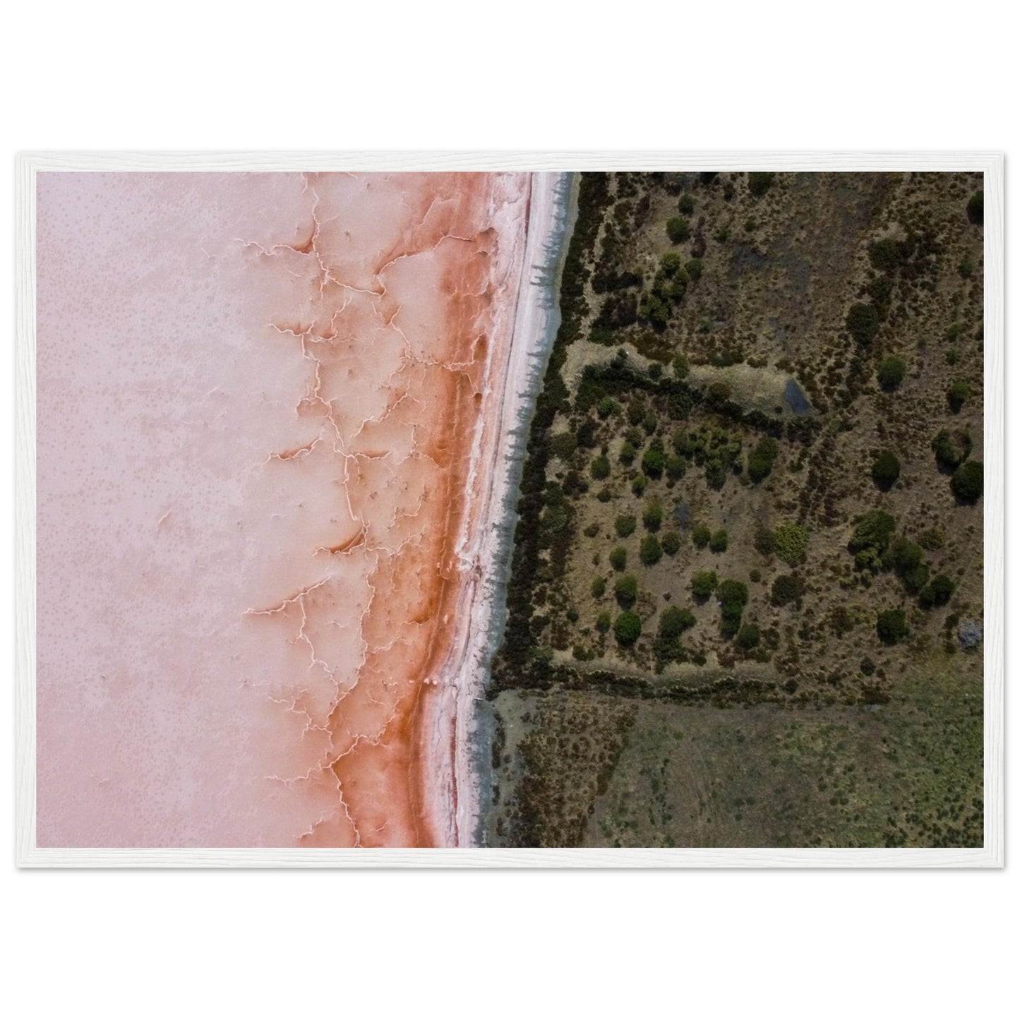 e008511f-0b77-497e-b52a-0c1eb8b3fc66