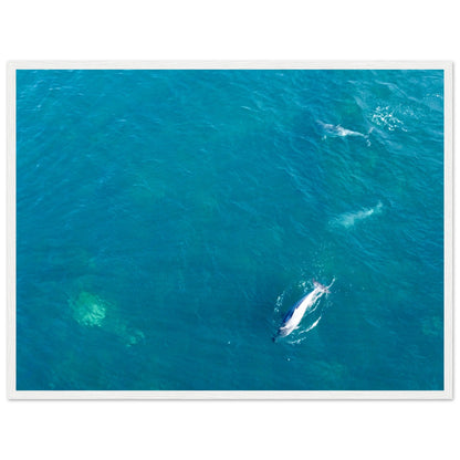 e1f4d952-5669-48a3-924d-1116d03d2446