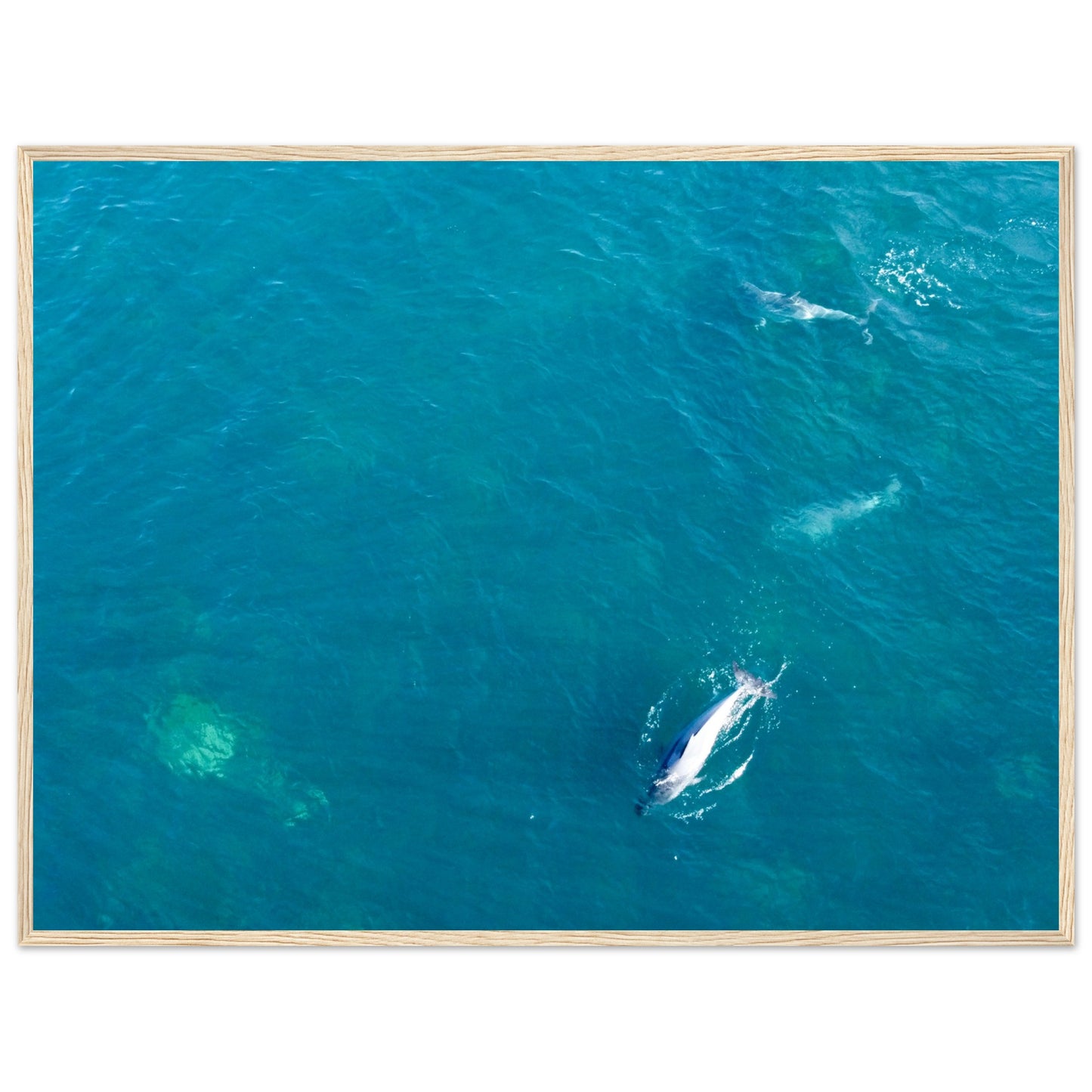 e227cff5-b338-4955-b09a-ab2c639ab248