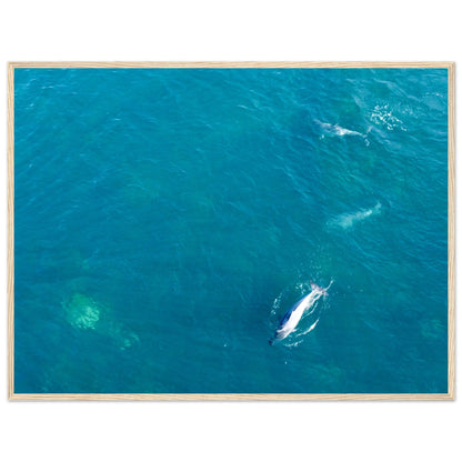 e227cff5-b338-4955-b09a-ab2c639ab248