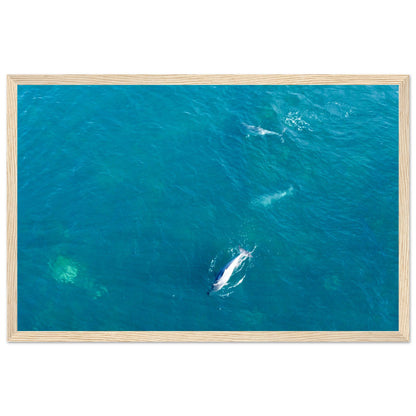 e7320d2a-7dc0-43f2-8b31-c201f0ed27bd