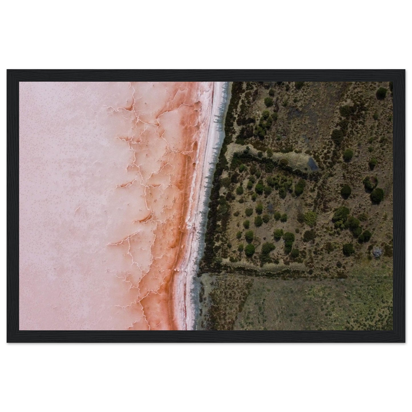 ec373fc7-8aad-4d84-b9ce-00b3b396e92b